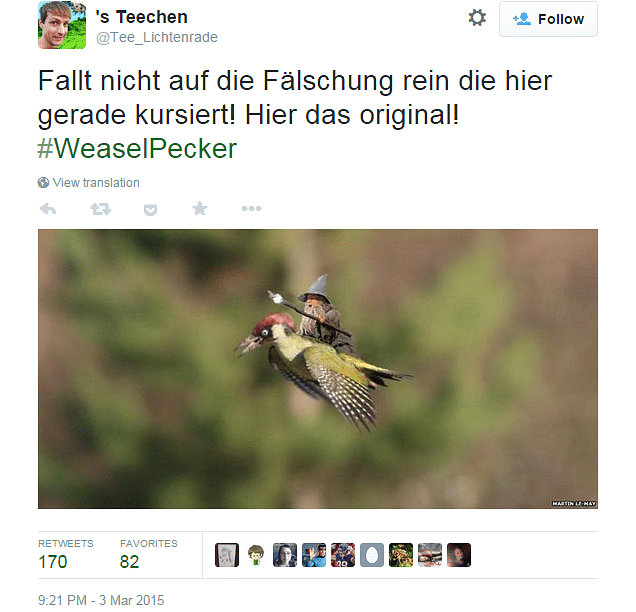 gandalf weaselpecker meme, the super funny #weaselpecker memes you have to see!